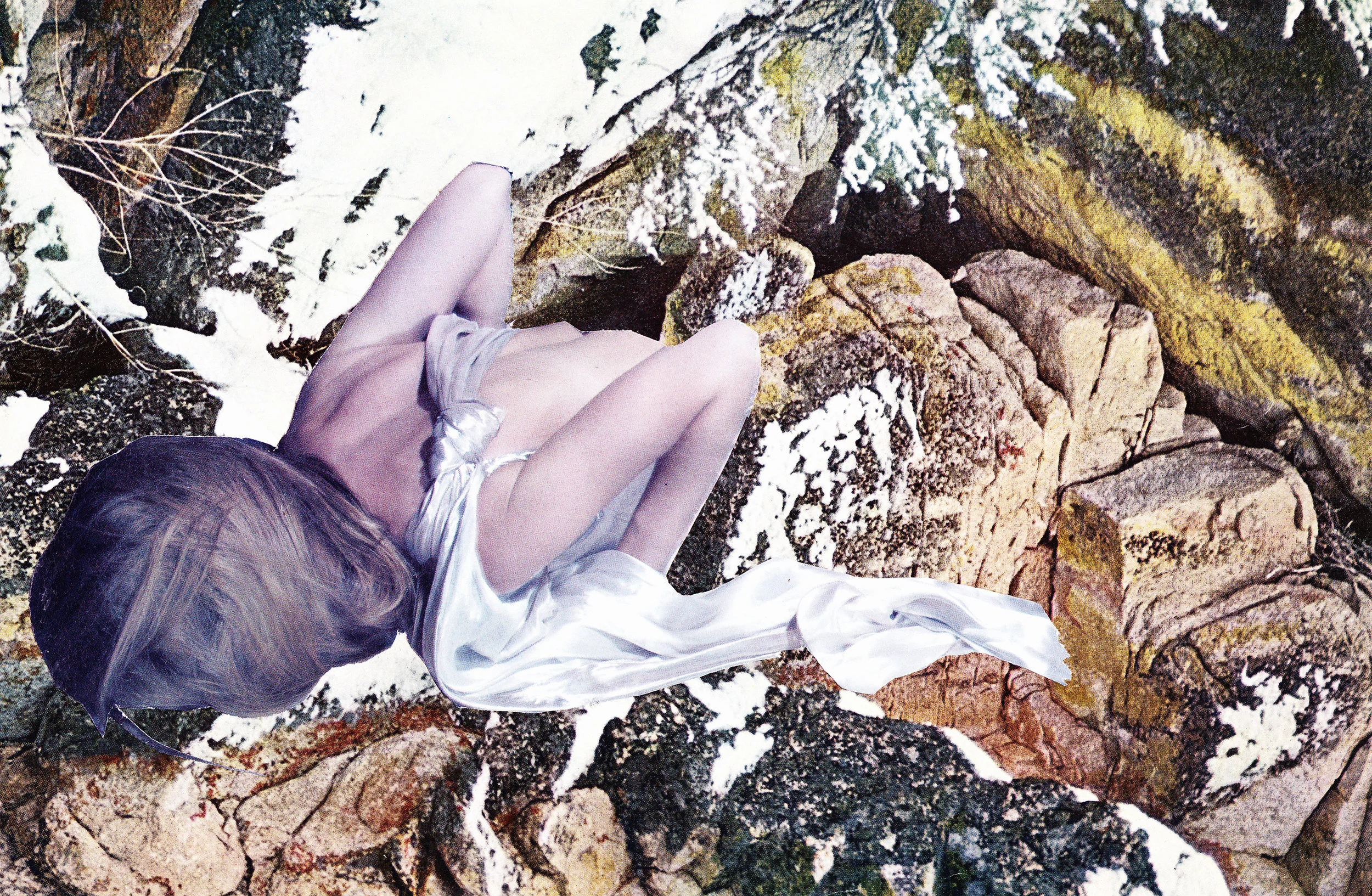 Erin Case , Feebie (collage)
