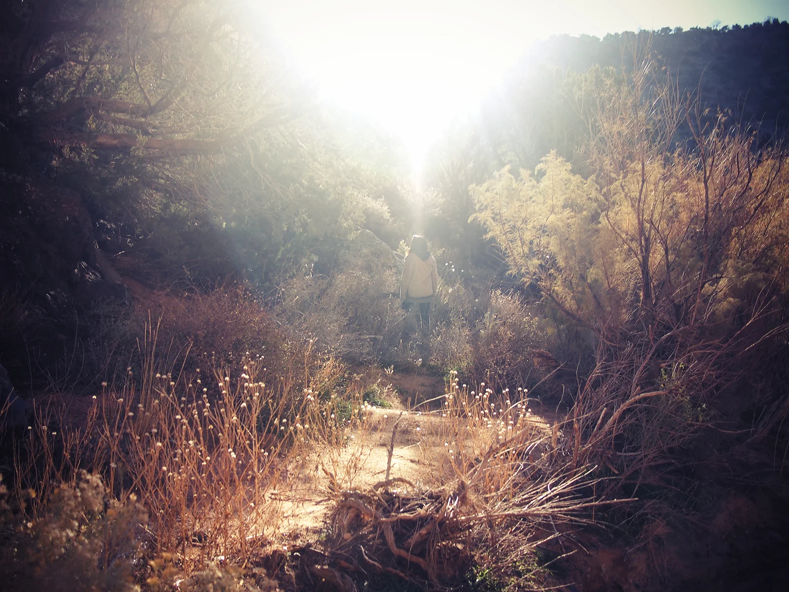 Cole Caswell , Deserted American Dreaming, Diablo Wandering (inkjet print), 11”x14”, New Mexico, 2014