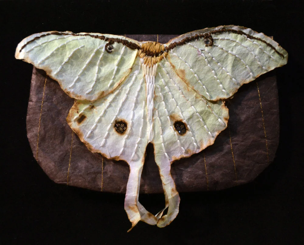 Emily Chase , Saturniidae Clutch , 2014 ( Artist Website ) Stitched, burned and embroidered paper, watercolor, Swarovski crystals