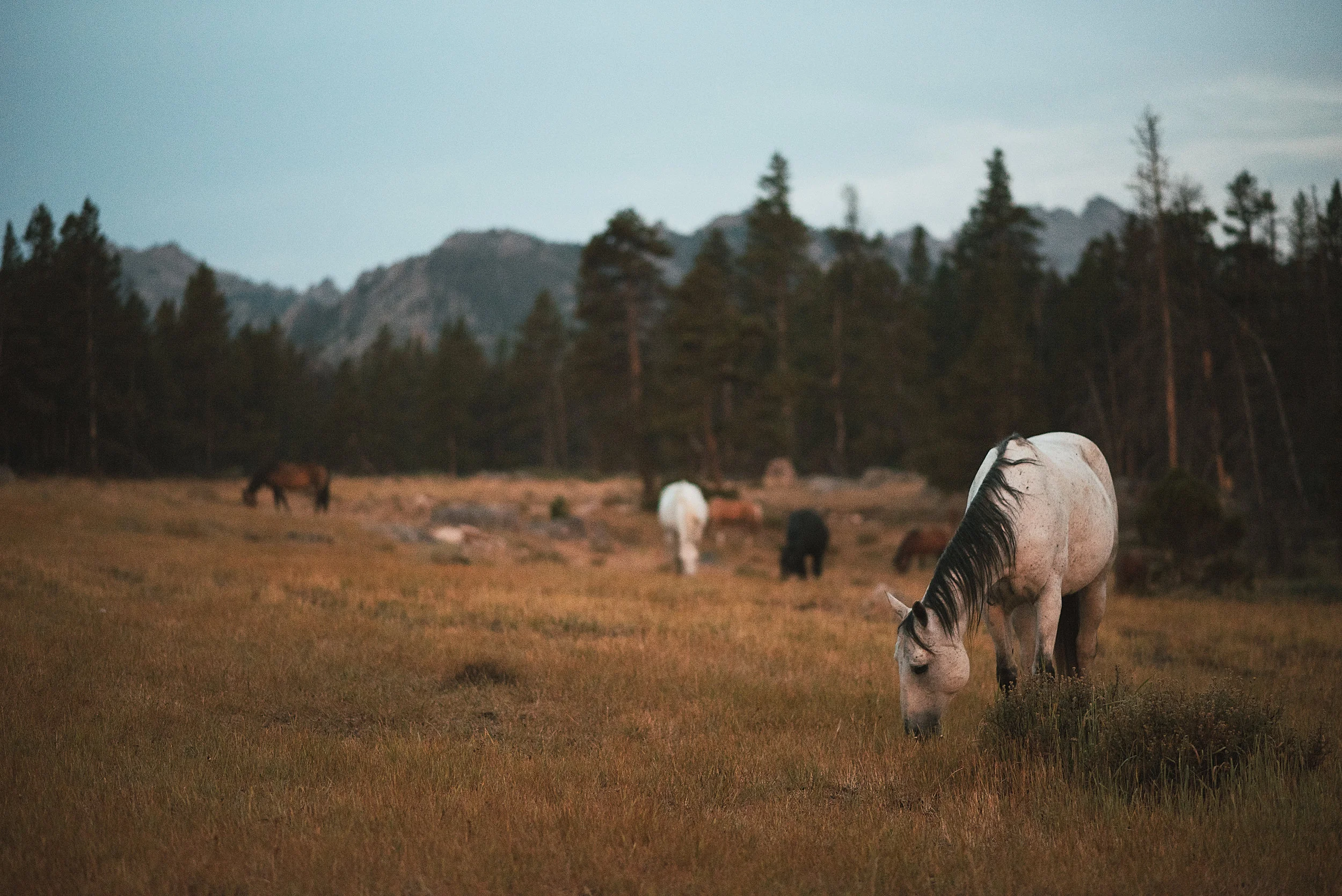 Joseph Haeberle , Bears’ Ears ( Artist Website ) Photograph, Nikon D750