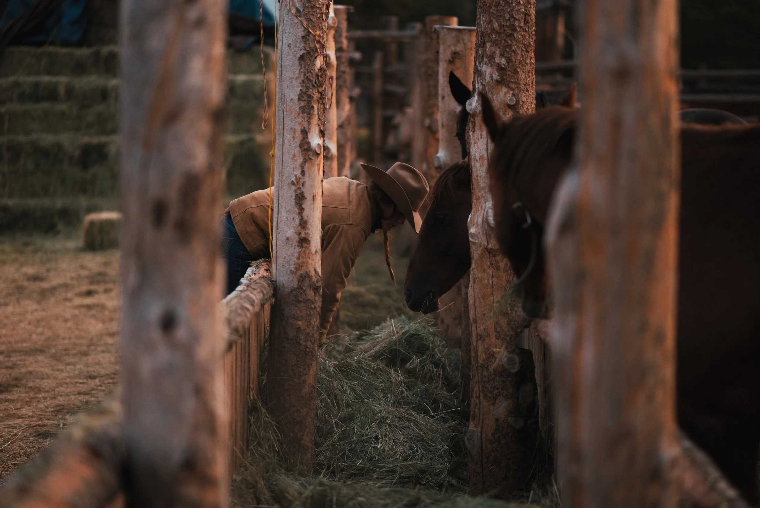 Joseph Haeberle , Feeding Time ( Artist Website ) Photograph, Nikon D750