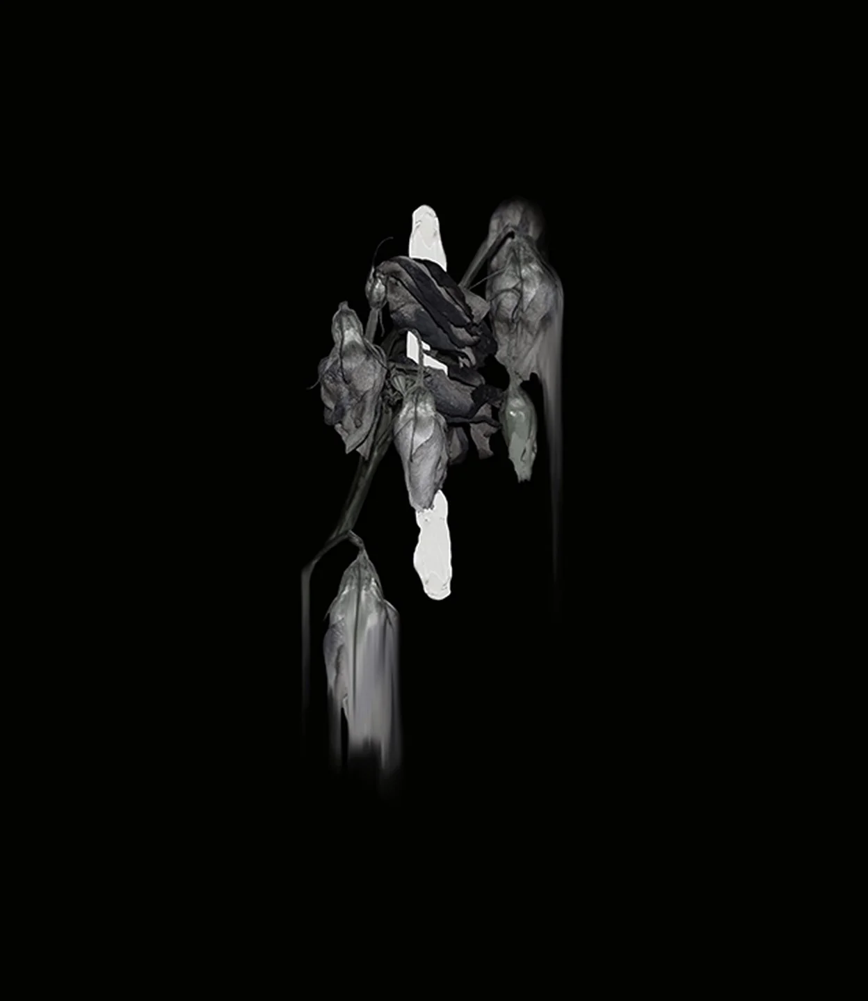 Simone Webb , Dissolution, 2017 ( Artist Website ) Giclée print 31 x 35cm