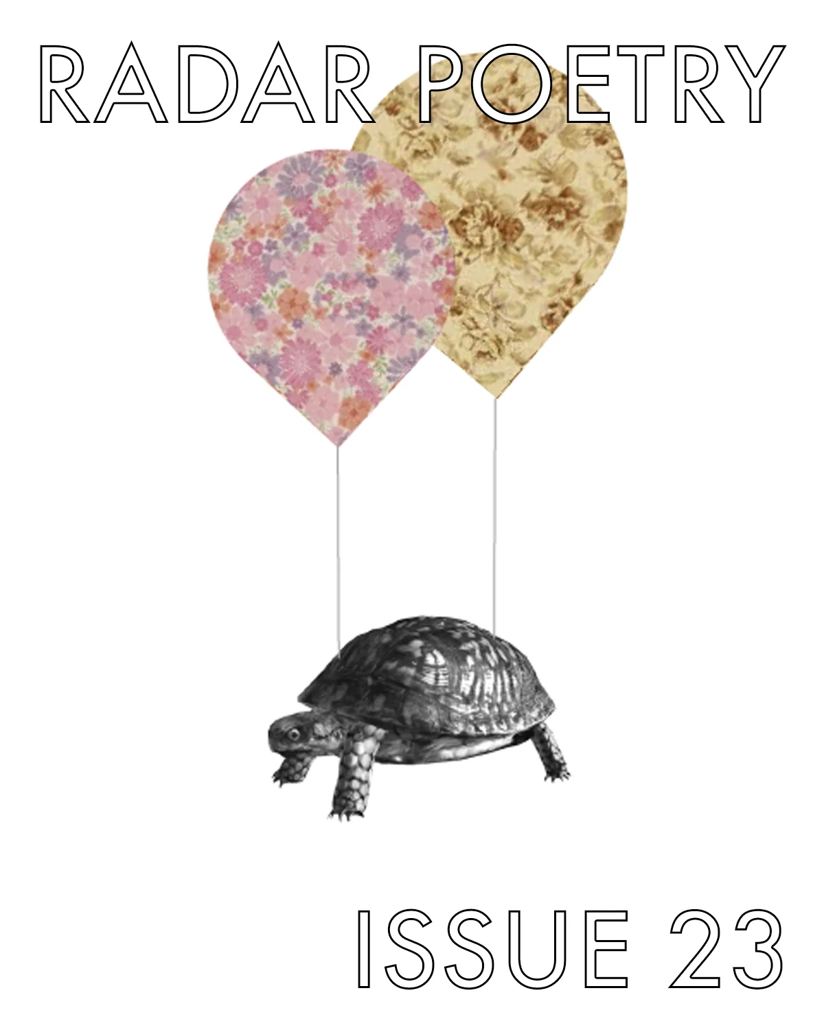 JULY 2019. Cover Art: Turtle (digital collage) by Kristy Bowen