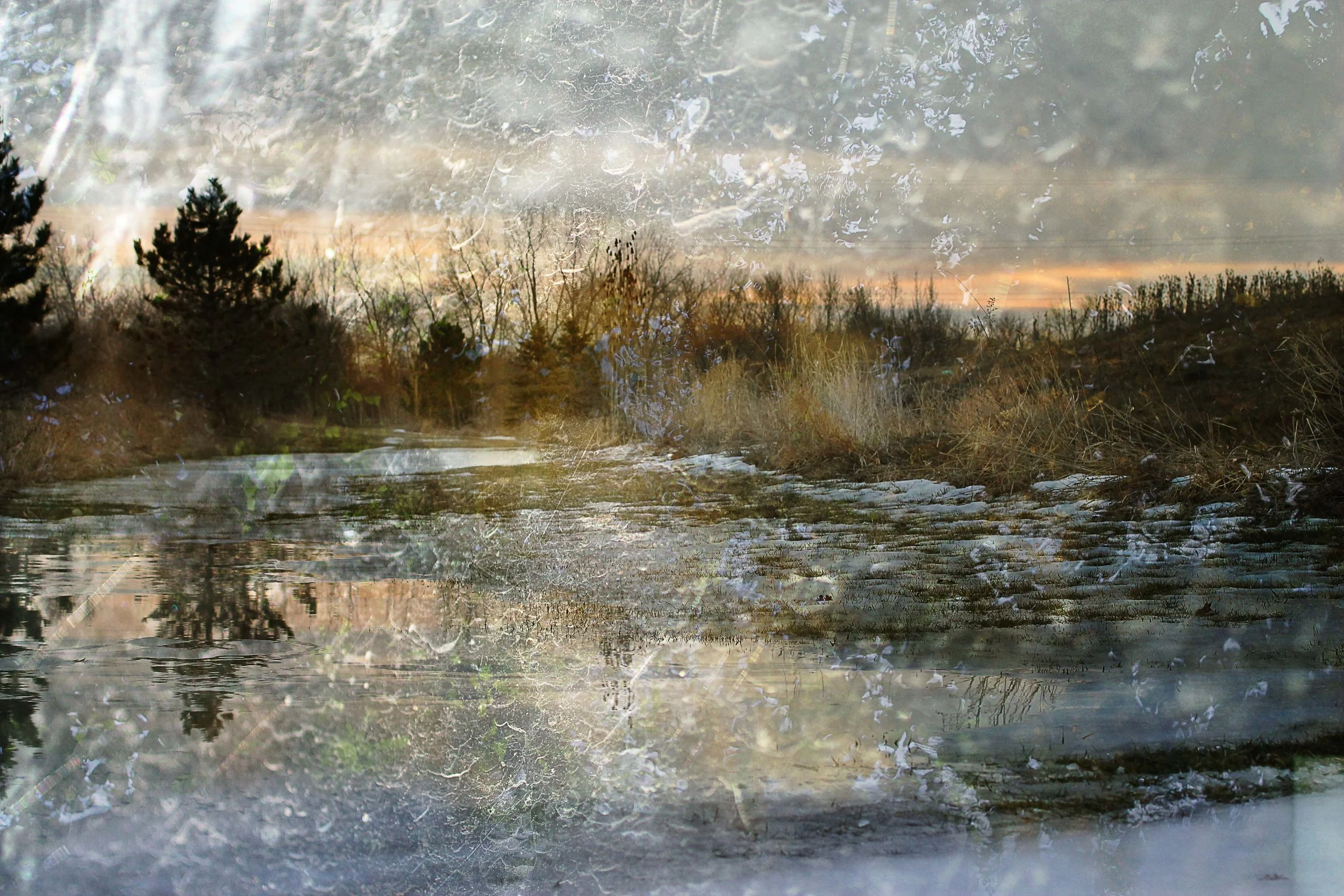 Alyssa Froehling , Bourn Photograph