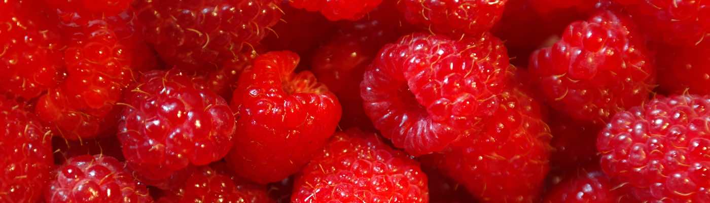 Raspberry Pi Tips & Tricks