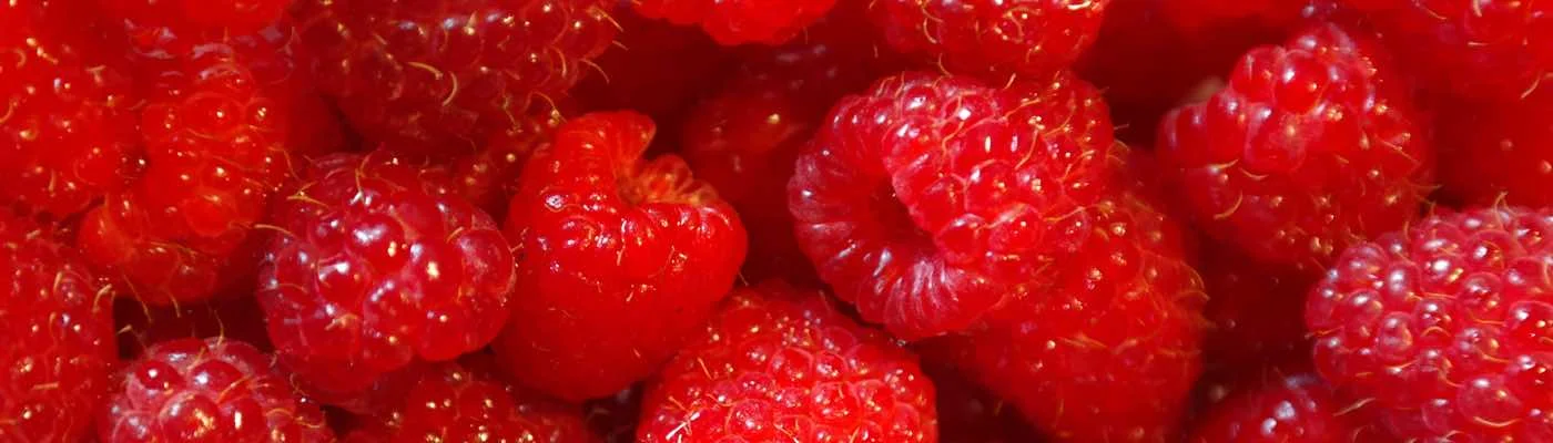 Raspberry Pi Tips &amp; Tricks