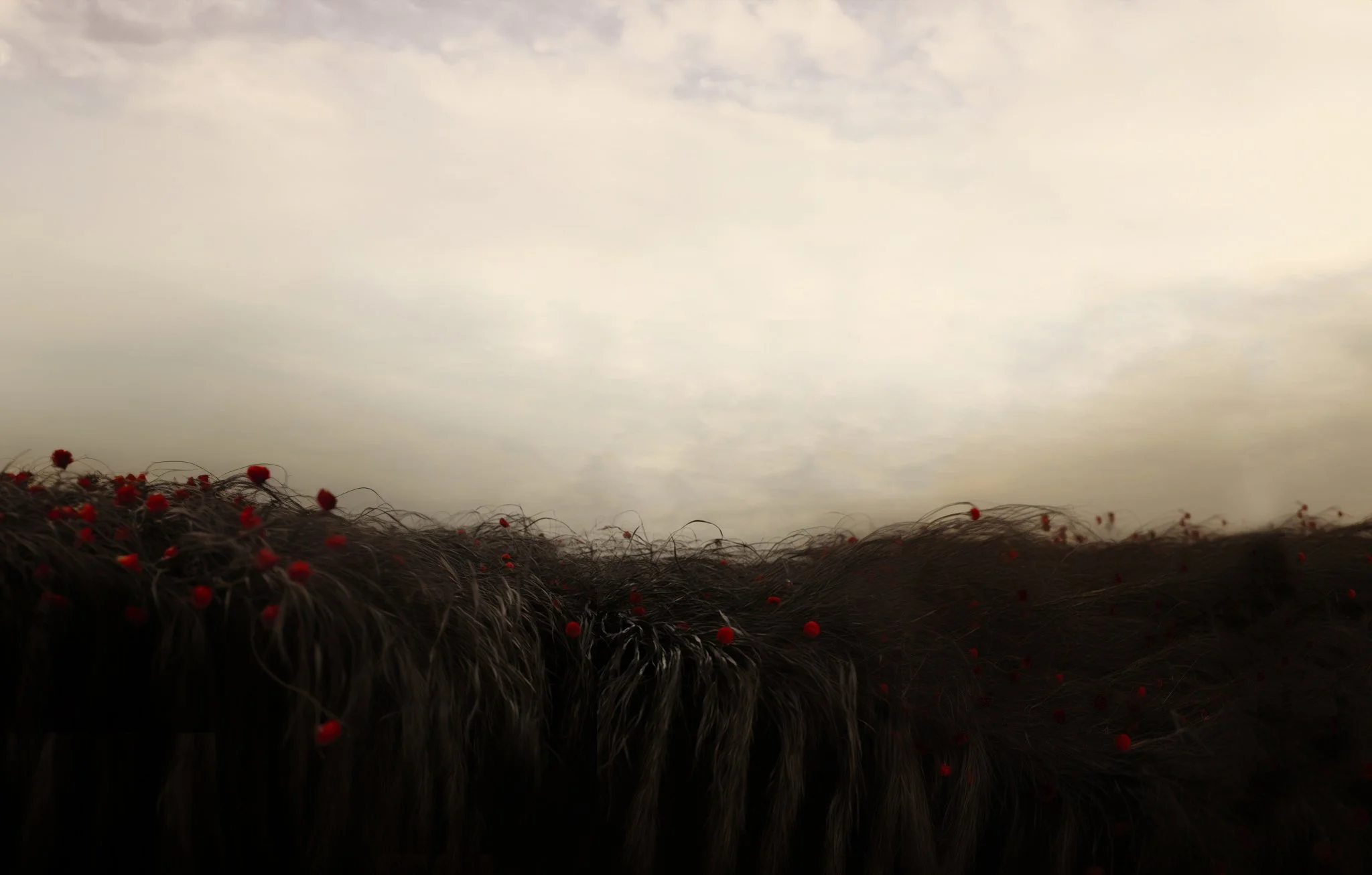 Reclaiming the rose banner.jpg