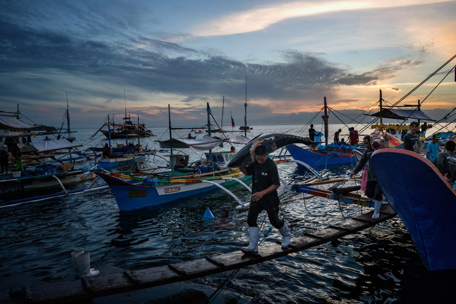 Fisherman offload line caught, yellow fin tuna caught in the South China Sea from a fishing boat at the General Santos Fish Port in General Santos, The Philippines on July 2nd, 2016. General Santos City is the largest producer of sashimi-grade tuna in the Philippines and is known as the "Tuna Capital of the Philippines".