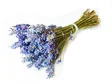 184863_lavender_bouquet_2.jpg