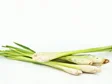 lemongrass1.jpg