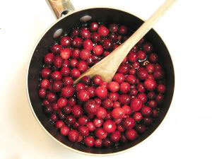 cranberries-1-454649-m.jpg
