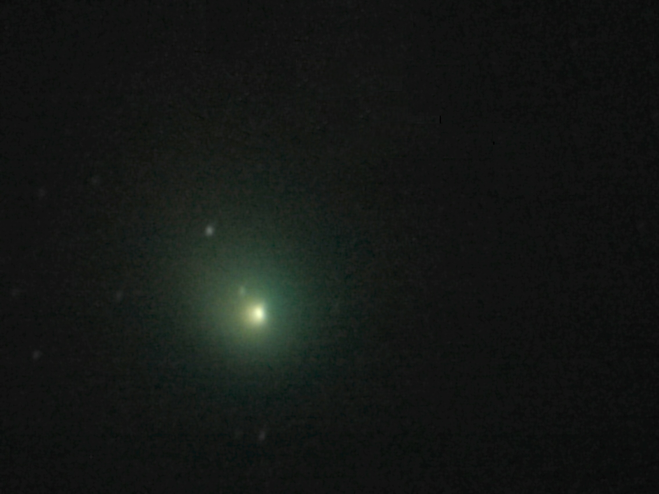 Comet NEAT (C/2001 Q4)