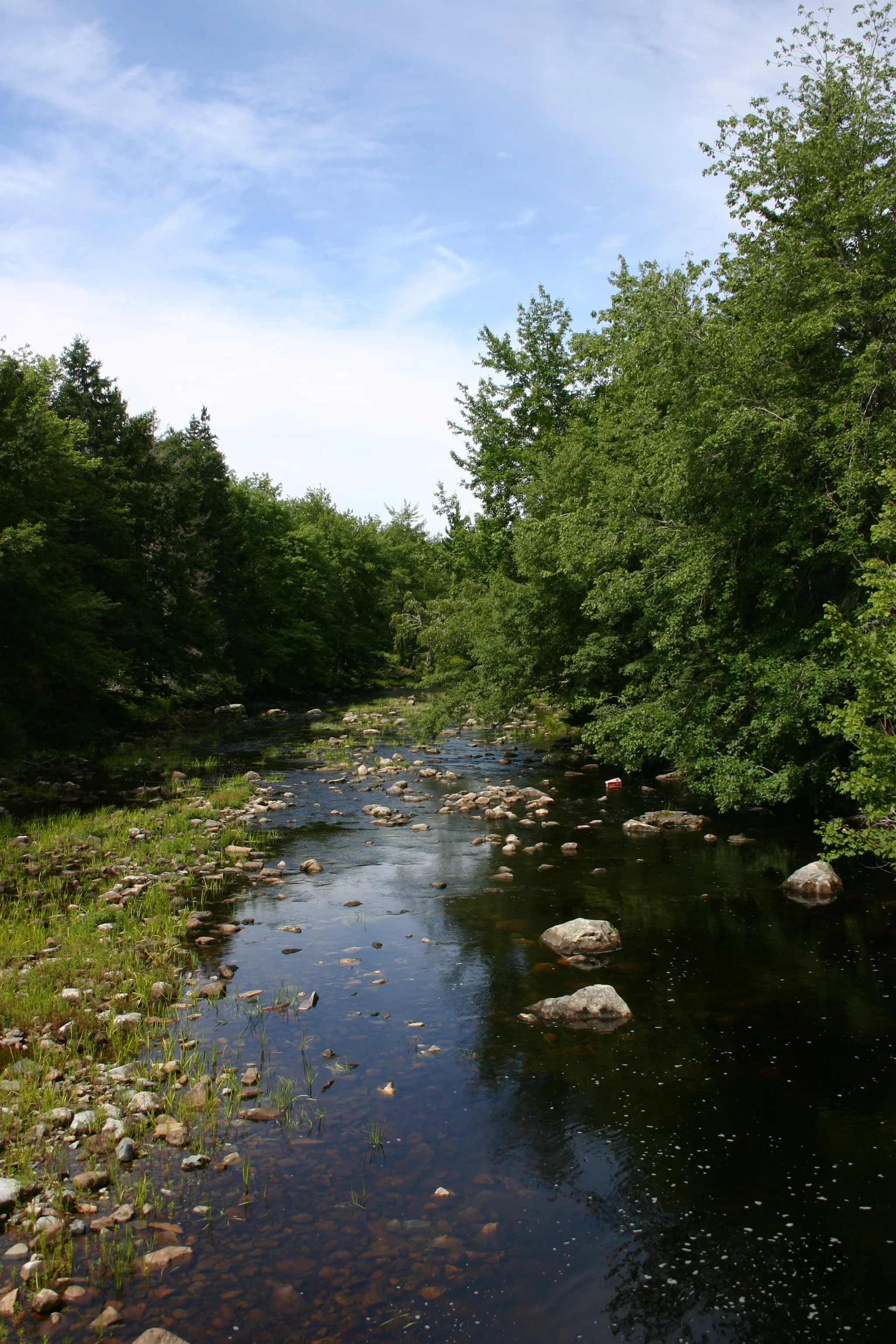 Kekoujouke River (looking West)