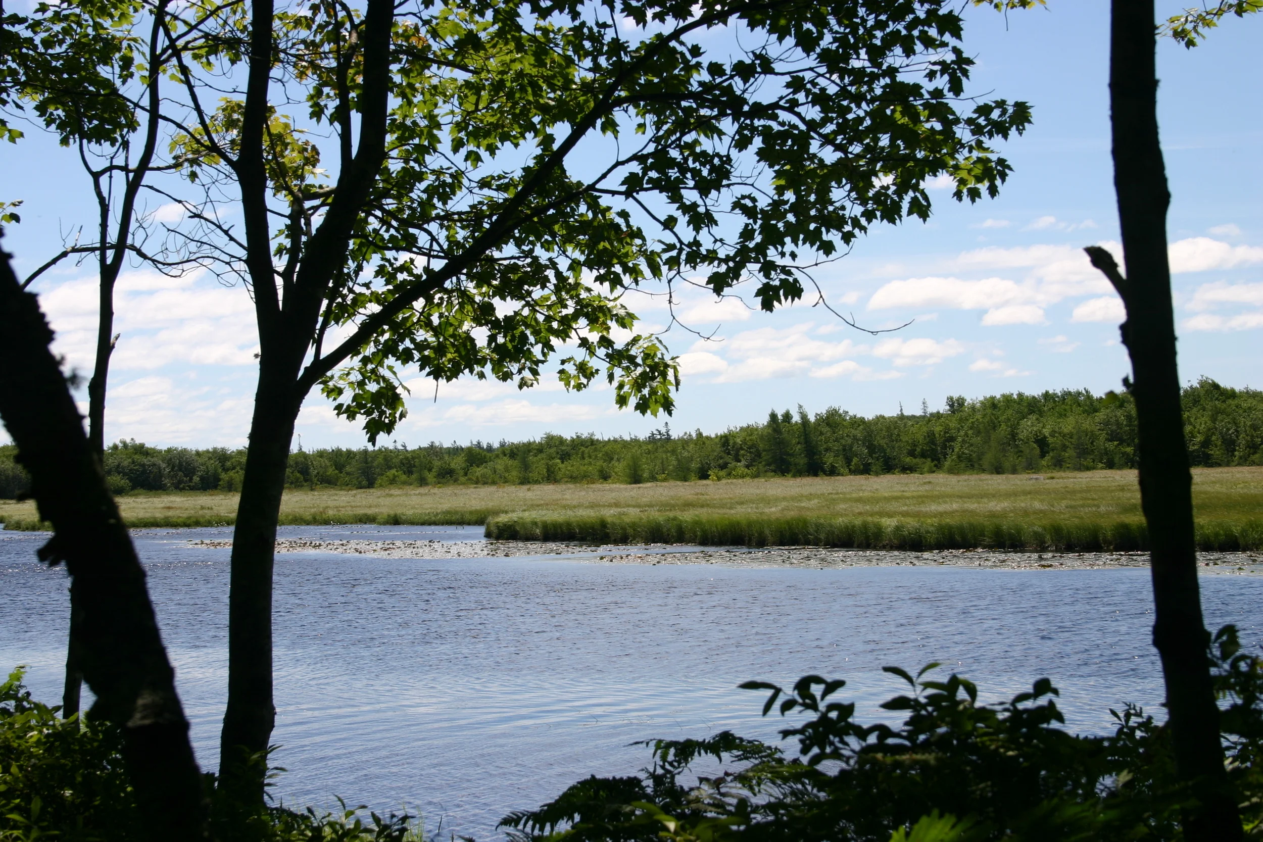 Quinan River