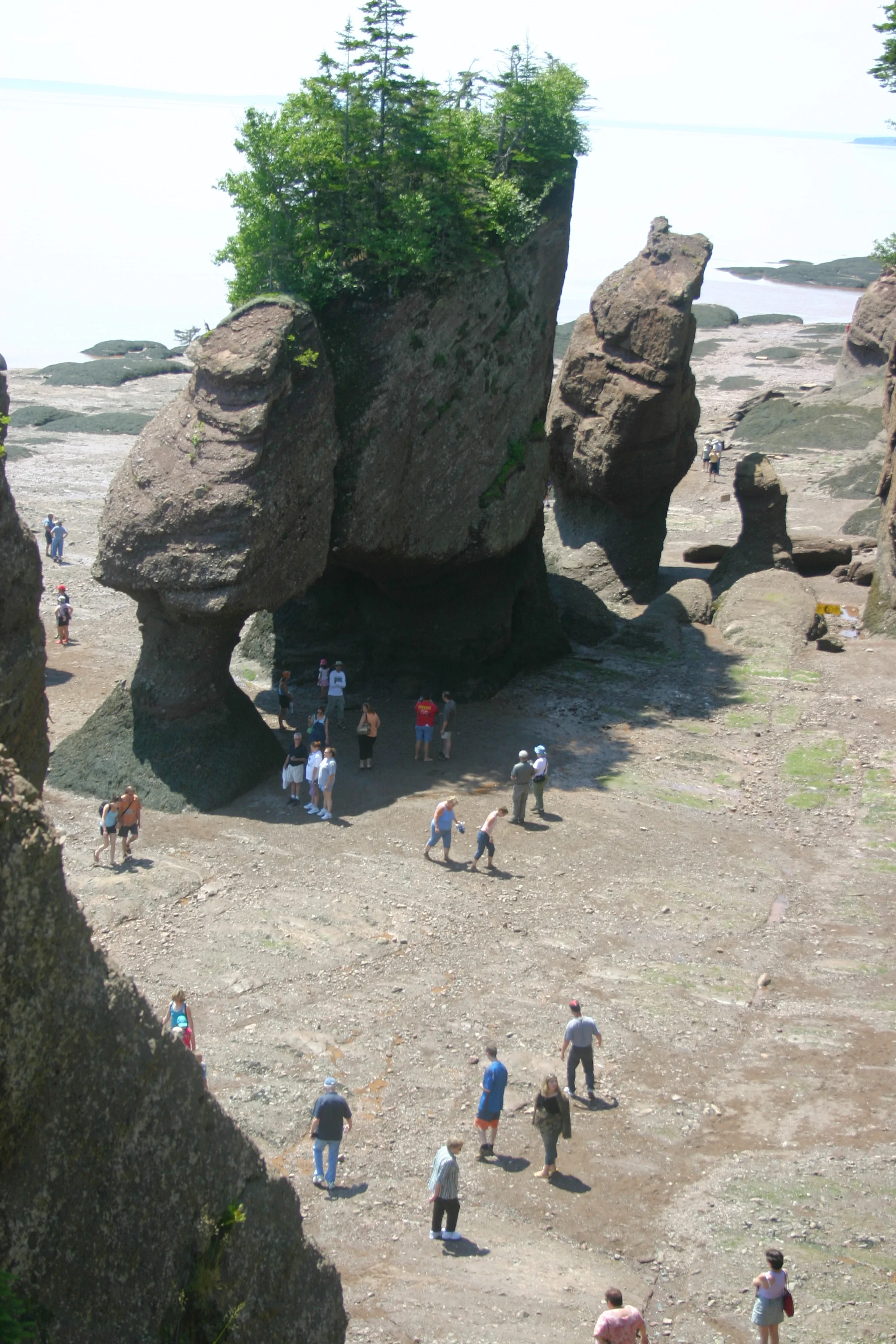 Hopewell Rocks - Low Tide