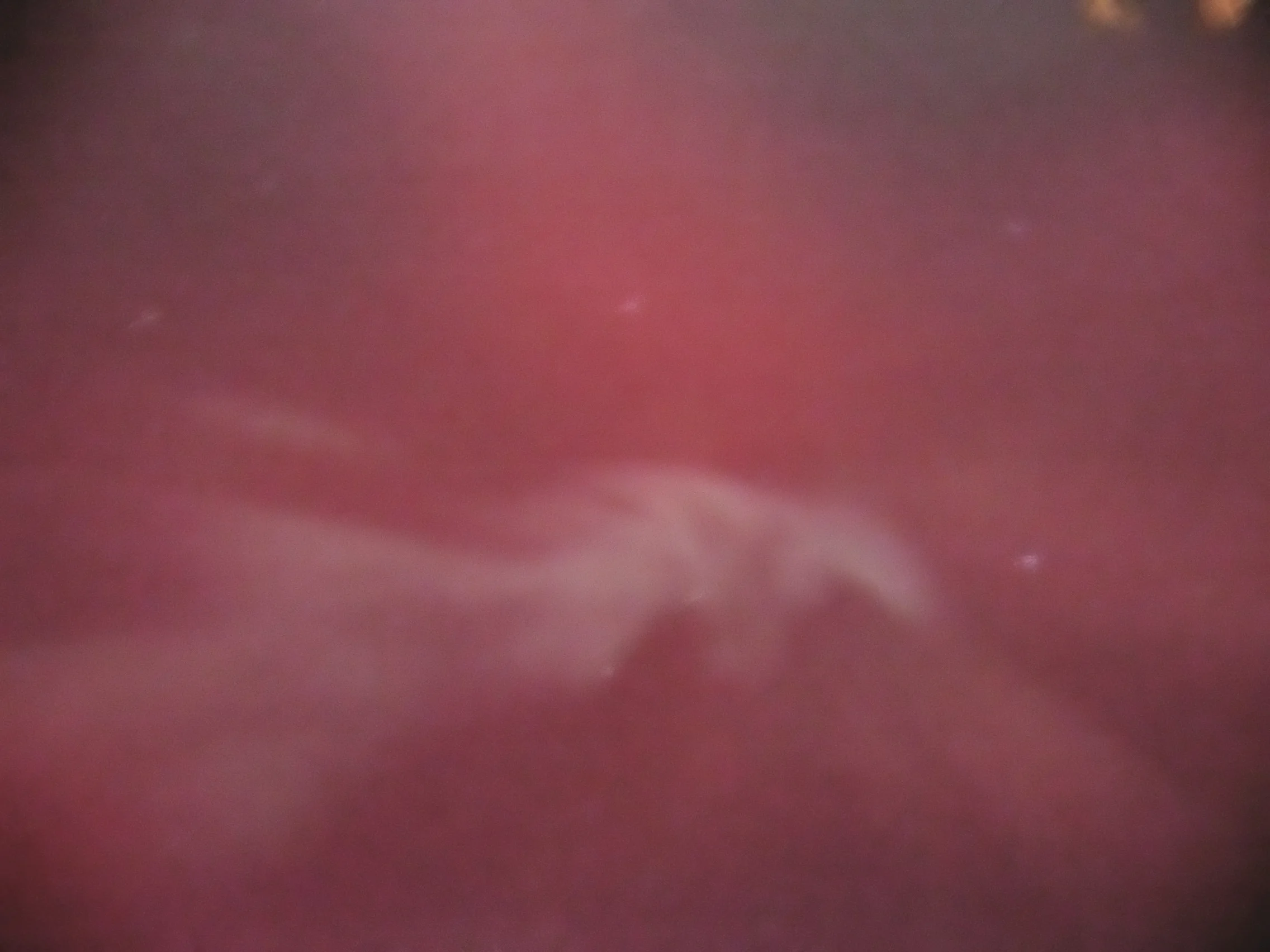 Northern Lights 3