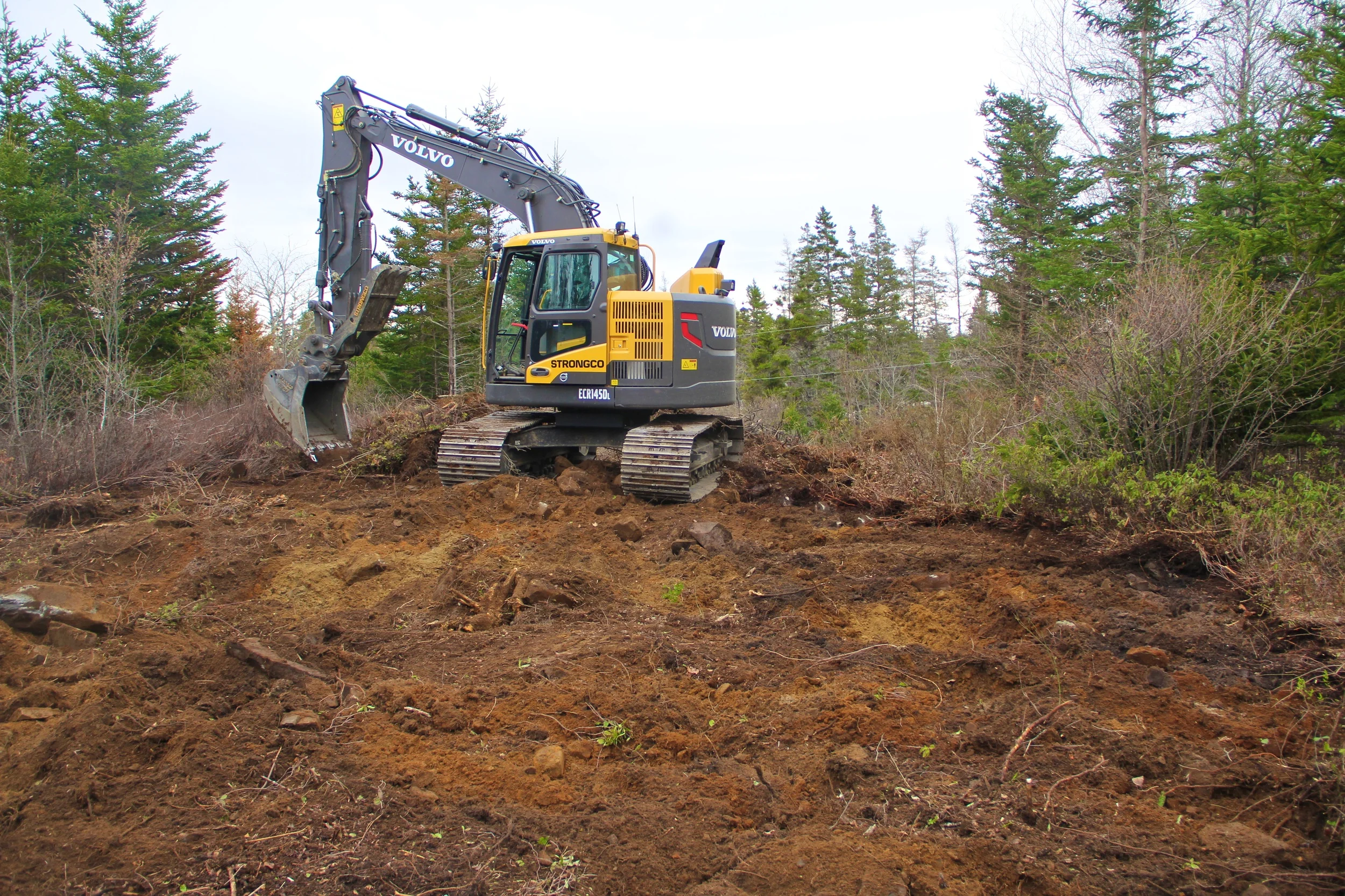 More Dig!