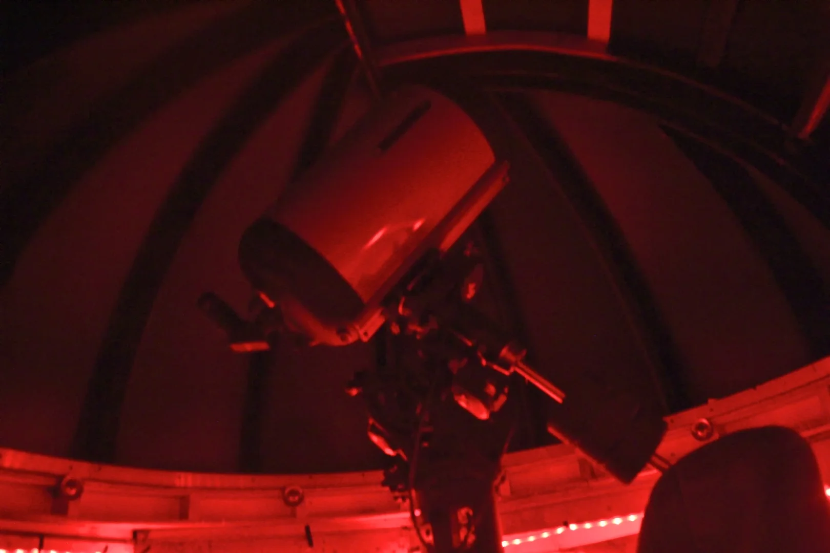 Test Lights - Red