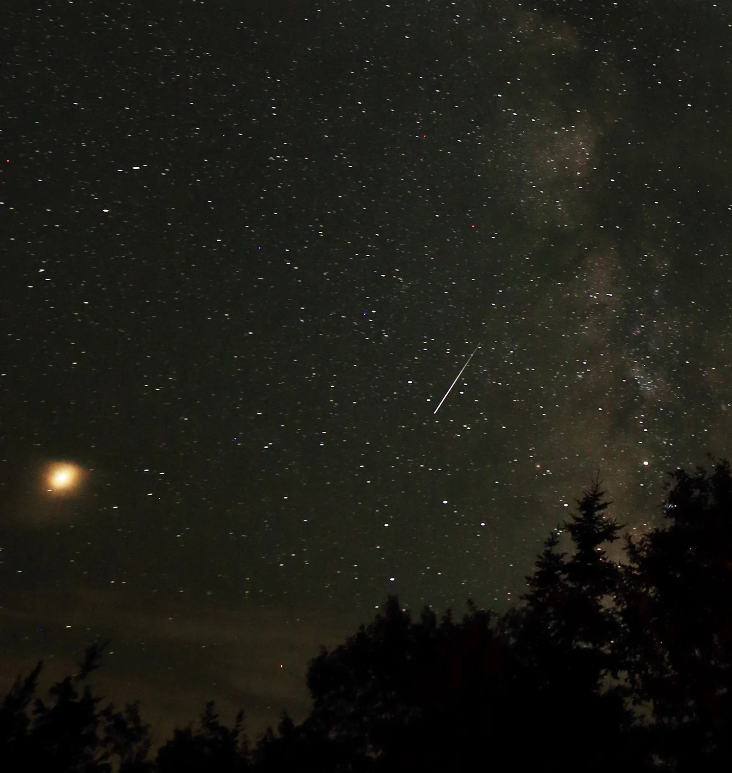 Delta Aquariid meteor taken at Deep Sky Eye site, with Mars at left