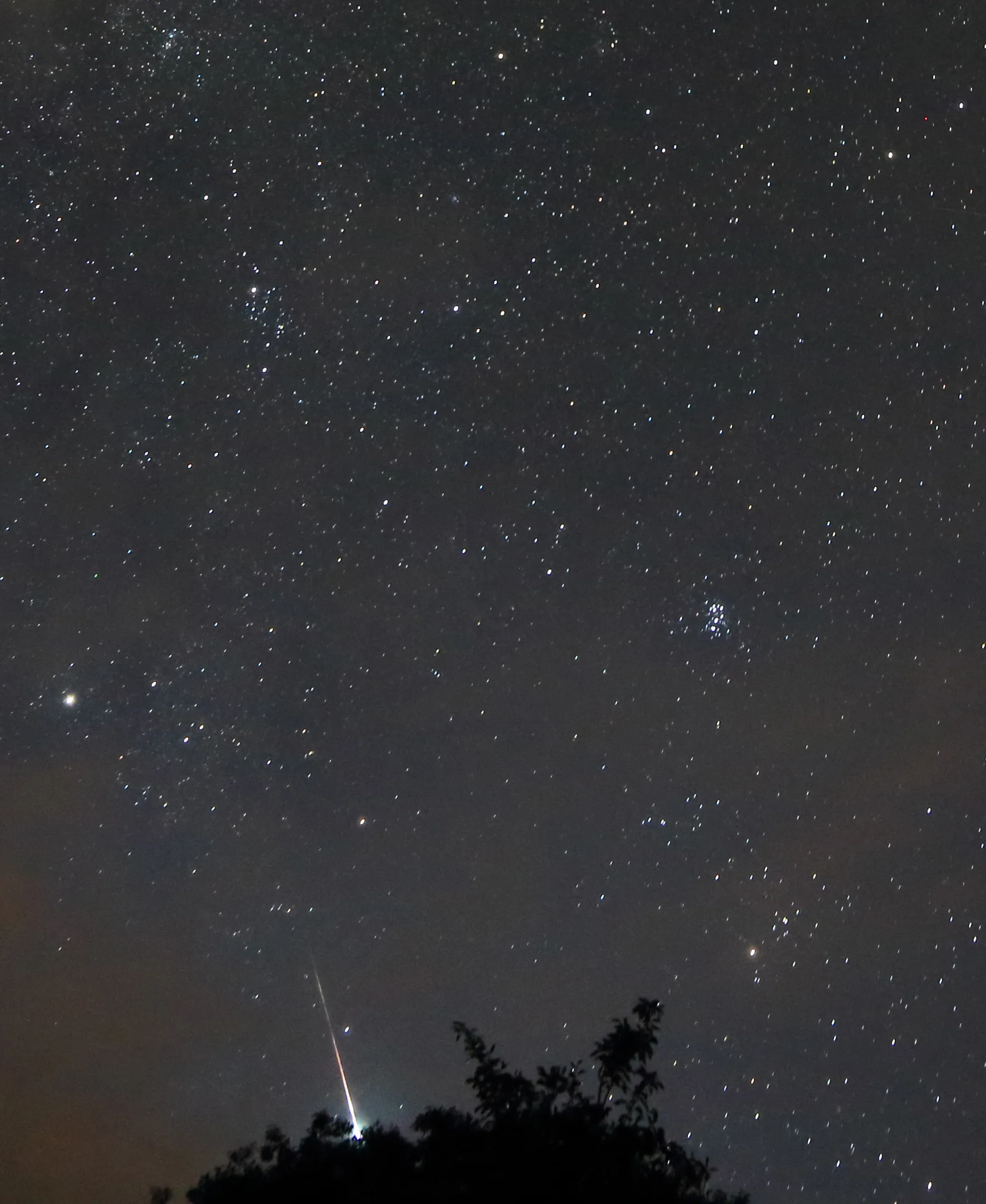 Bolide falling behind trees at my home near Tusket, a 20-minute drive from Deep Sky Eye