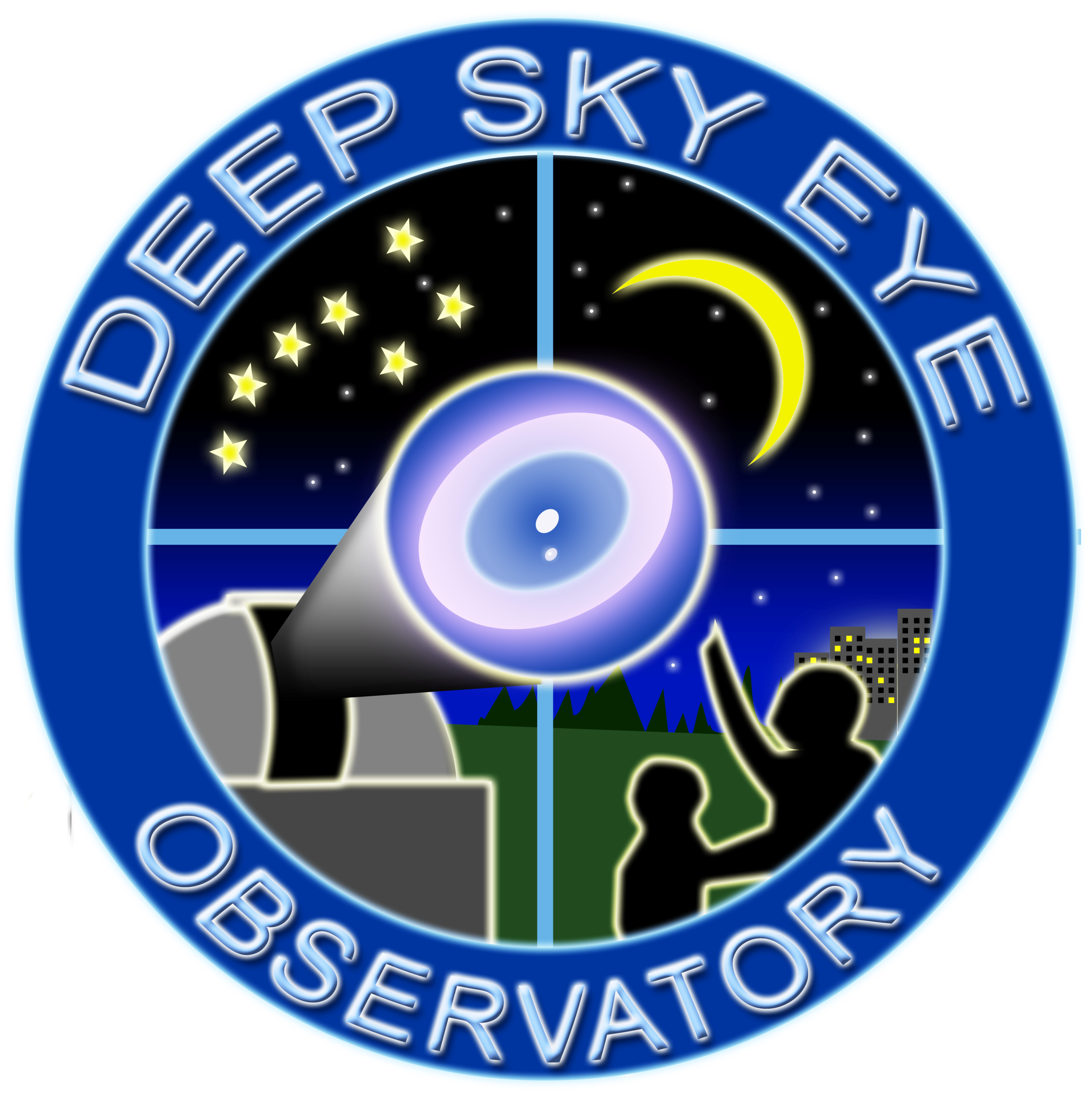 DSE 2-logo copy.png