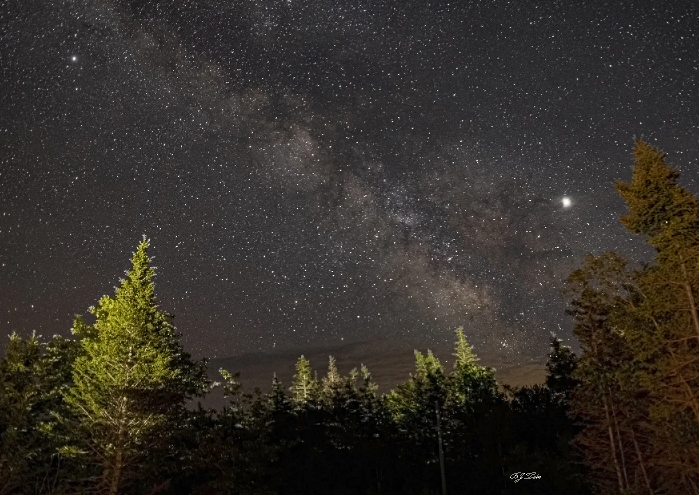 Just outside the observatory looking southeast above the driveway - June 2019