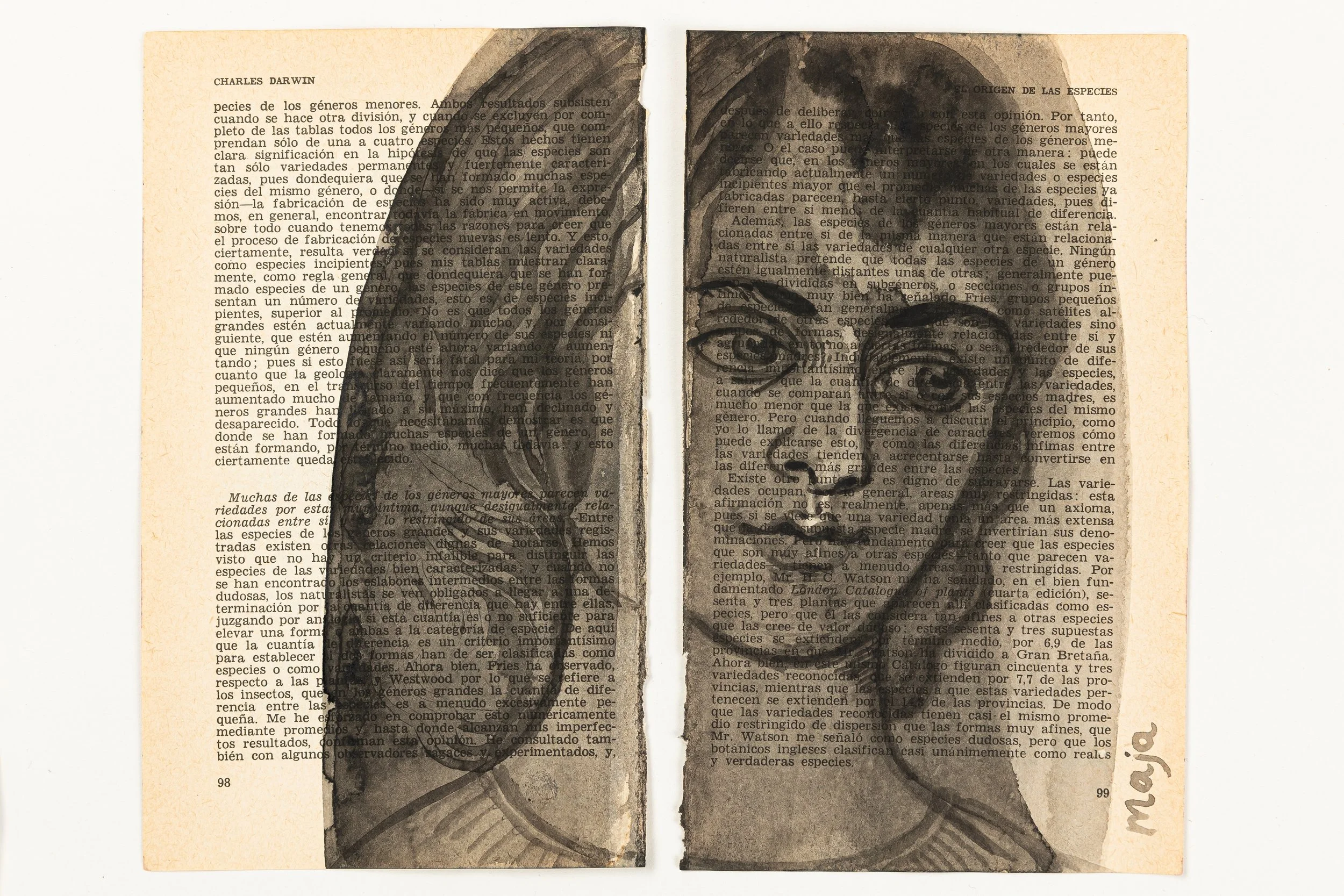 The Origin of Species
from the exhibition The Wicked Garden 2025
Drawing on book page