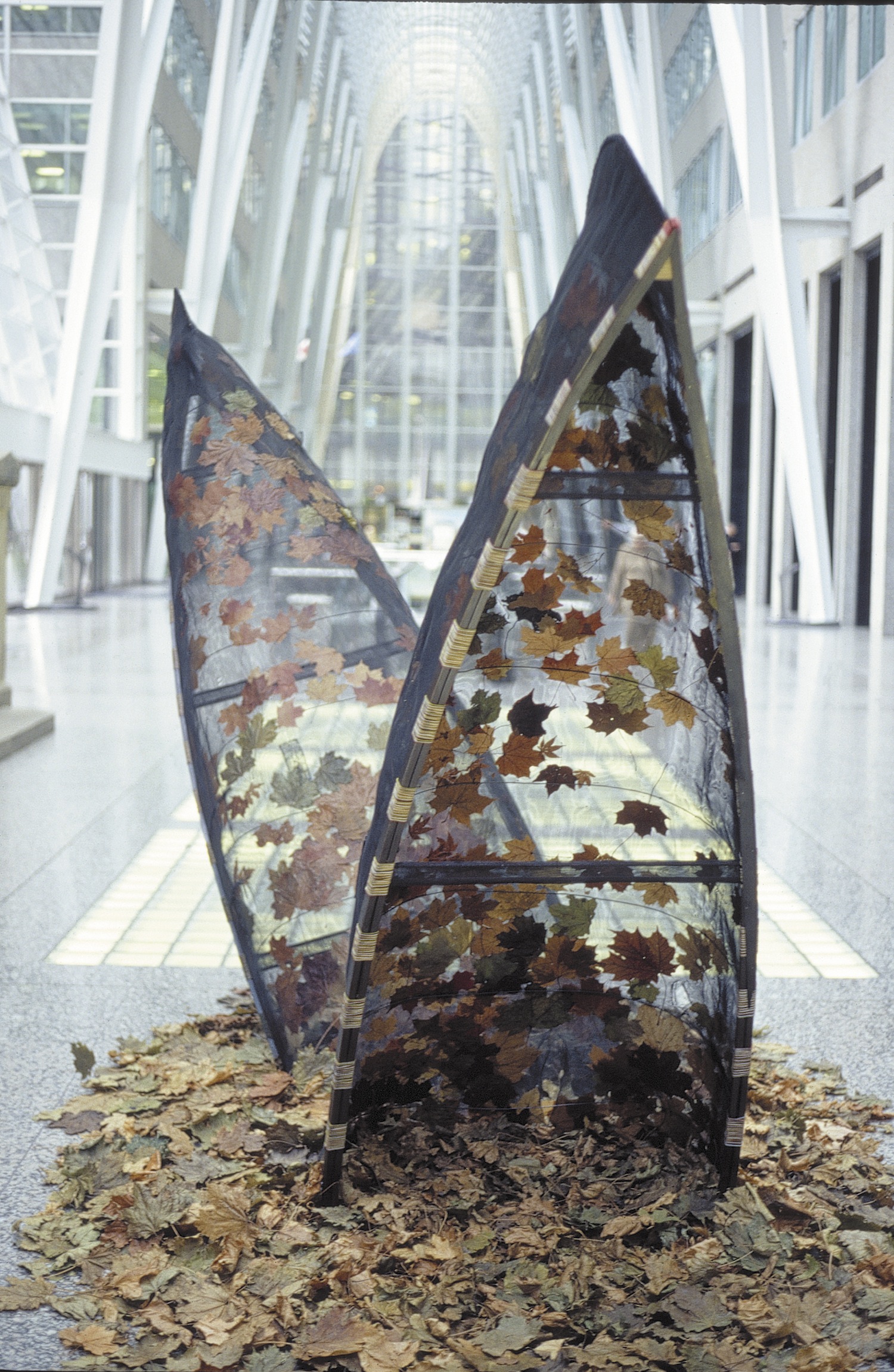   Oh, Canada,  2003 Aluminum window screening, maple leaves, white pine gunnels, communication wire,
steel, 240 x 480 x 150 cm (installed)      
  
				 
			 
		 