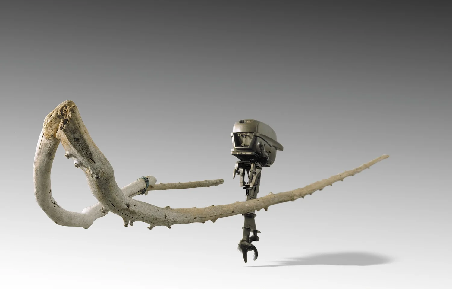 Wishbone 2005 Johnson outboard motor 10hp, paint, driftwood tree trunks, steel bolt 120 x 450 x 90 cm