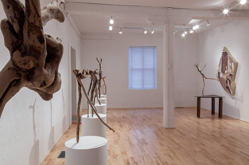  Driftwood Assemblages, [Installation view] 