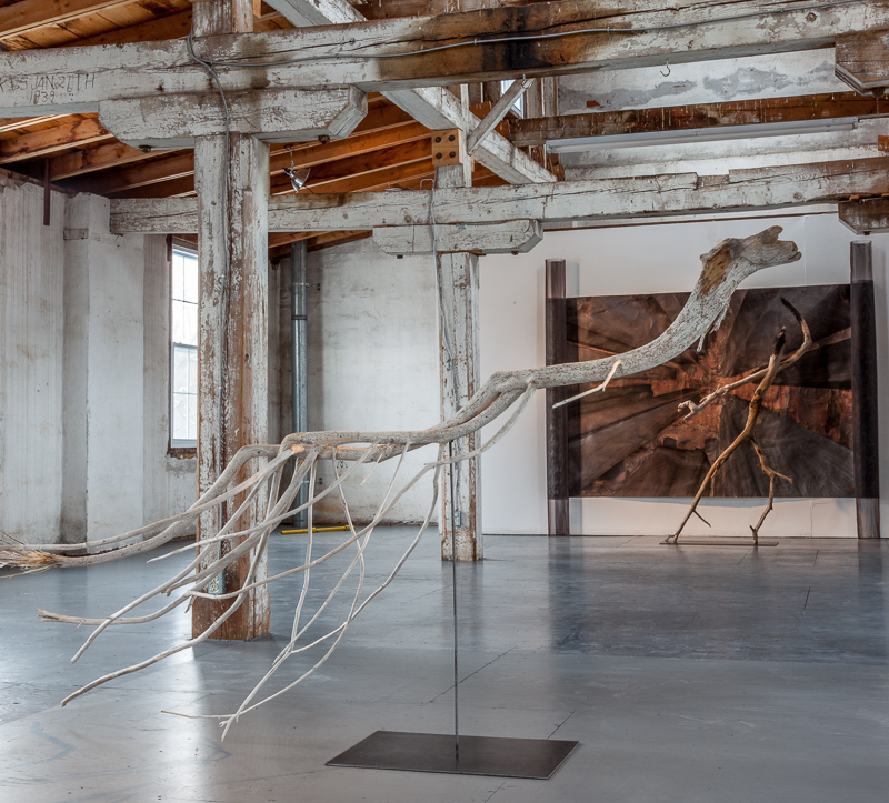  Reclamation, [Installation View] 