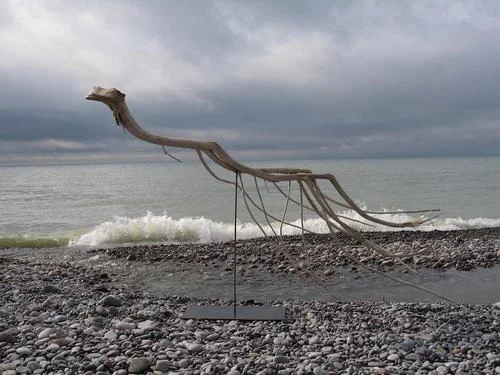 SALLY THURLOW Swimmer , 2012. Lake Ontario driftwood, 58 x 94 x 29 inches. 