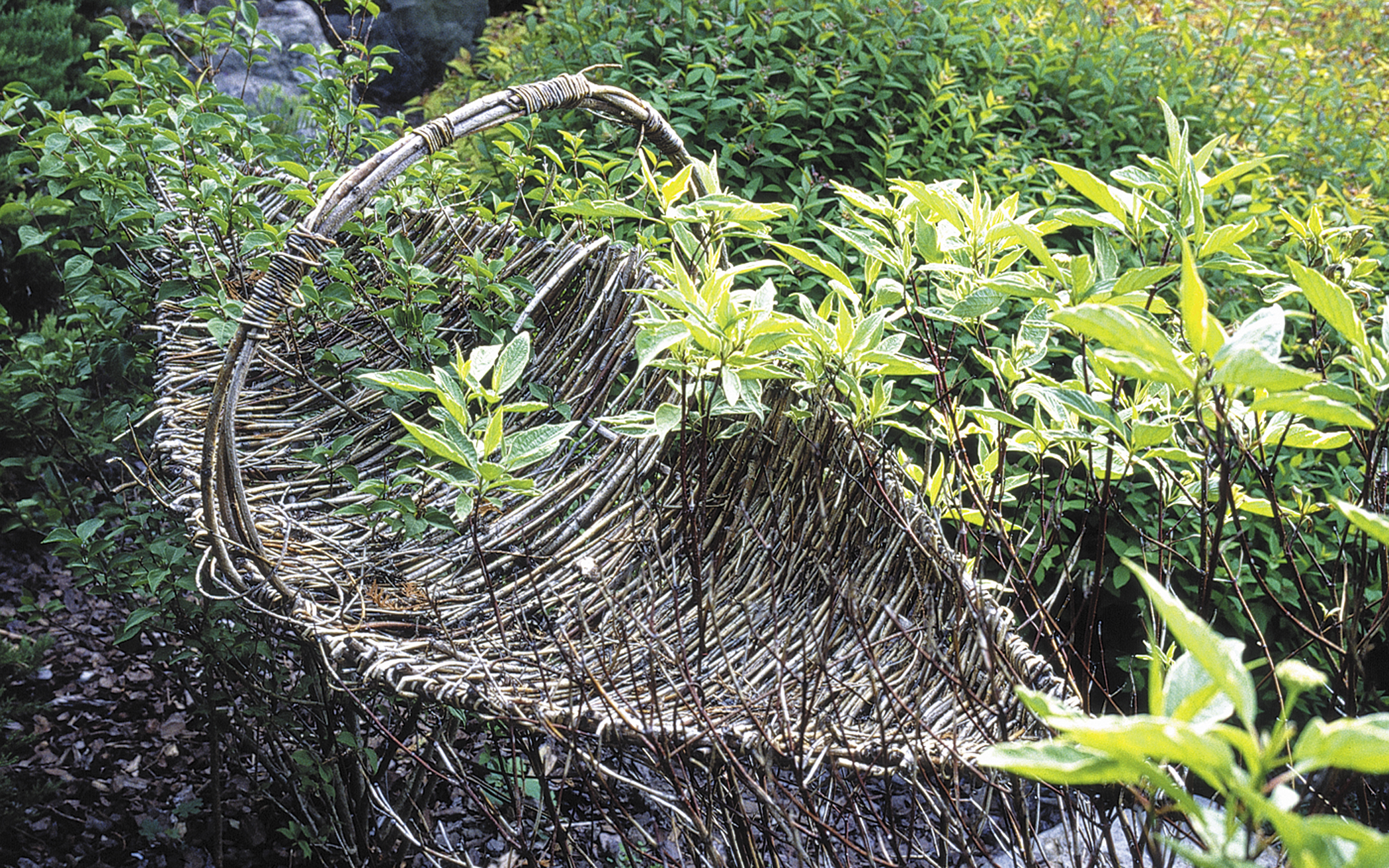  
					   Cradled Youth,  2000 - 2005 Forsythia and dogwood branches and bushes, 210 x 240 x 90 cm    &nbsp; 