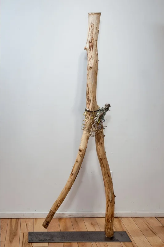 SALLY THURLOW, Josephine, 2011 Lake Ontario driftwood, 165 x 54 x 12 cm