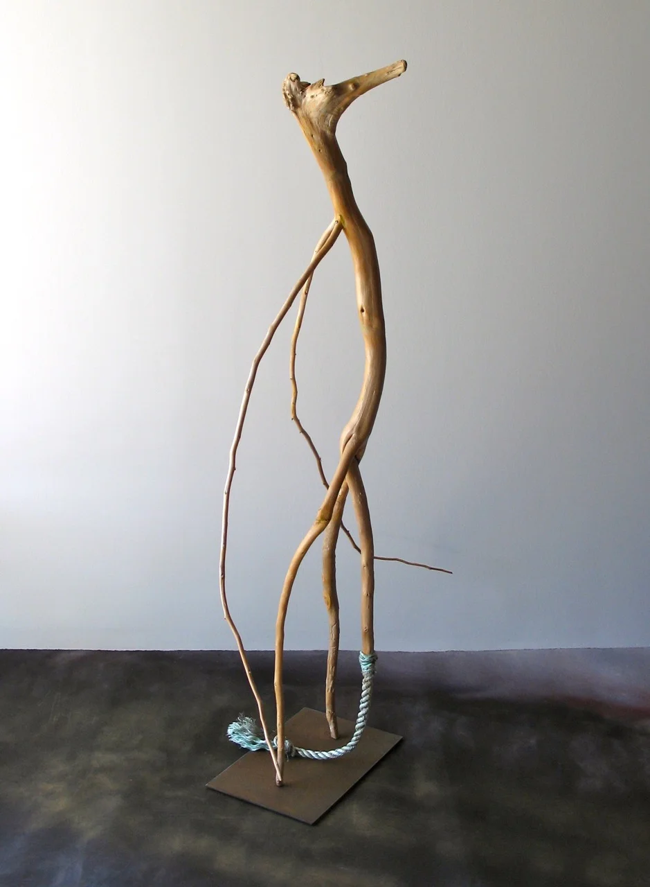 SALLY THURLOW, Tail Between Legs, 2008-10 Lake Ontario driftwood, 148 x 90 x 70 cm