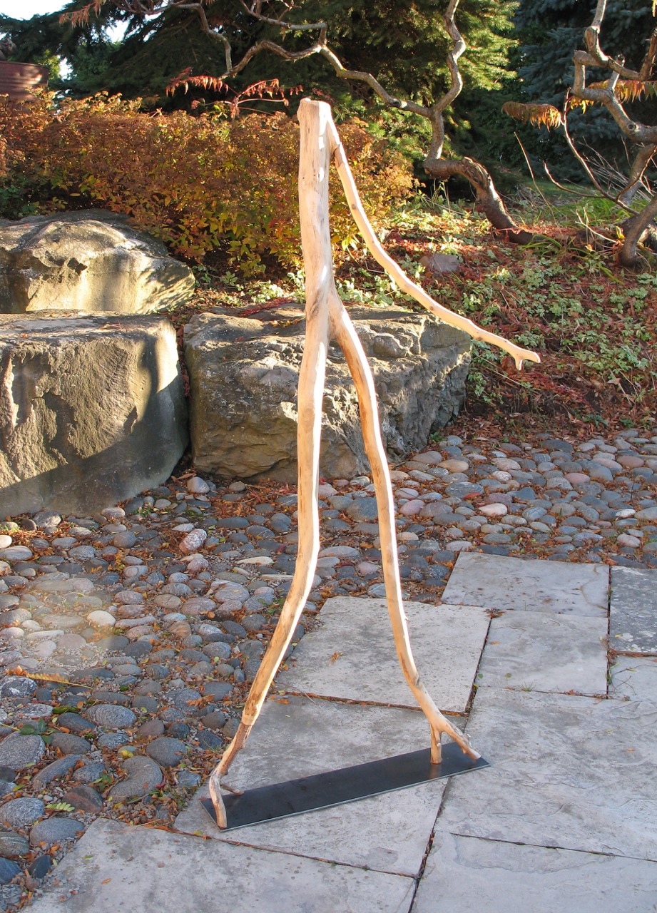 SALLY THURLOW, No Bones , 2009 Lake Ontario driftwood, 133 x 60 x 42 cm