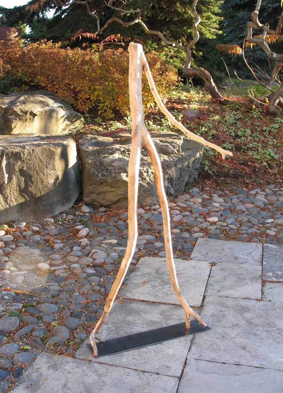 SALLY THURLOW, No Bones , 2009 Lake Ontario driftwood, 133 x 60 x 42 cm