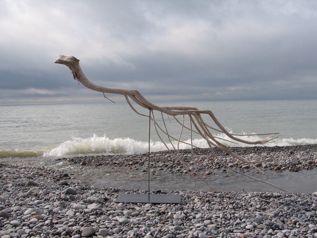 SALLY THURLOW, Swimmer, 2011-12 Lake Ontario Driftwood, 148 x 240 x 74 cm