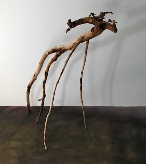Just Ask , 2010 Newfoundland and Lake Ontario driftwood, 80 x 80 x 40 cm