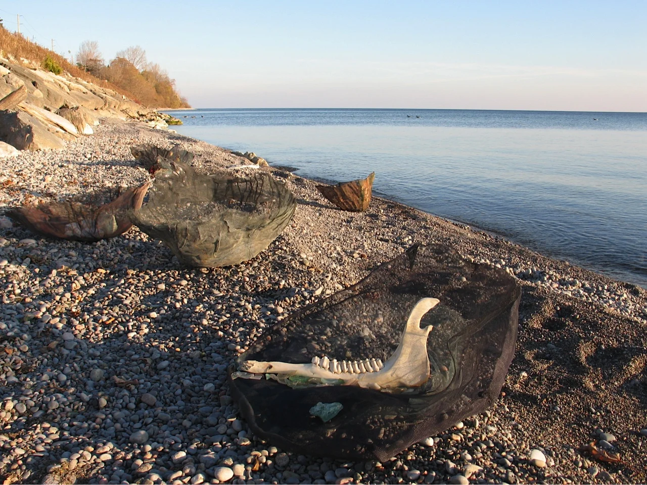 Vessels Group on Lake Ontario Beach, 2009 Mixed media in pressed aluminum screening, dimensions variable