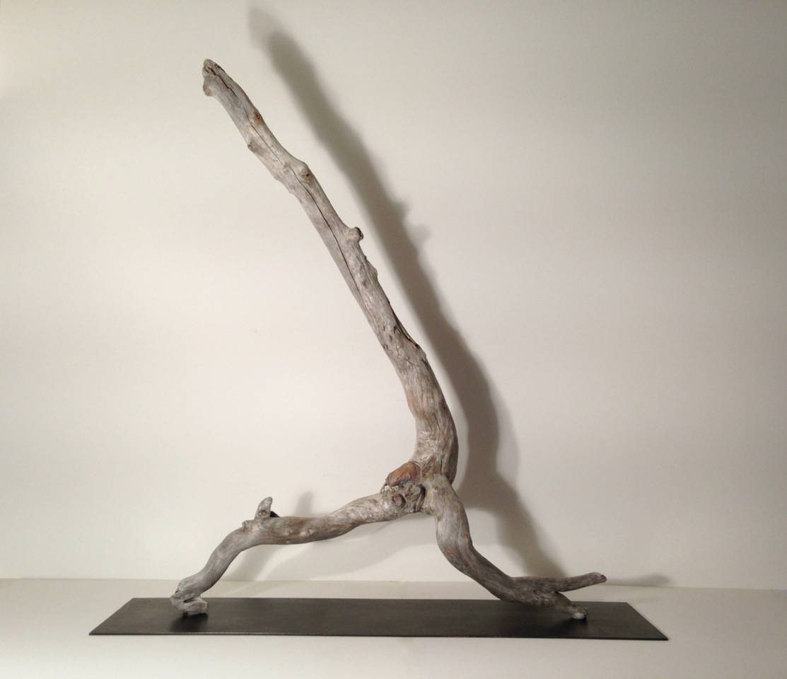 Strider 2014 Newfoundland driftwood on steel plinth, 49 x 40 x 12 inches