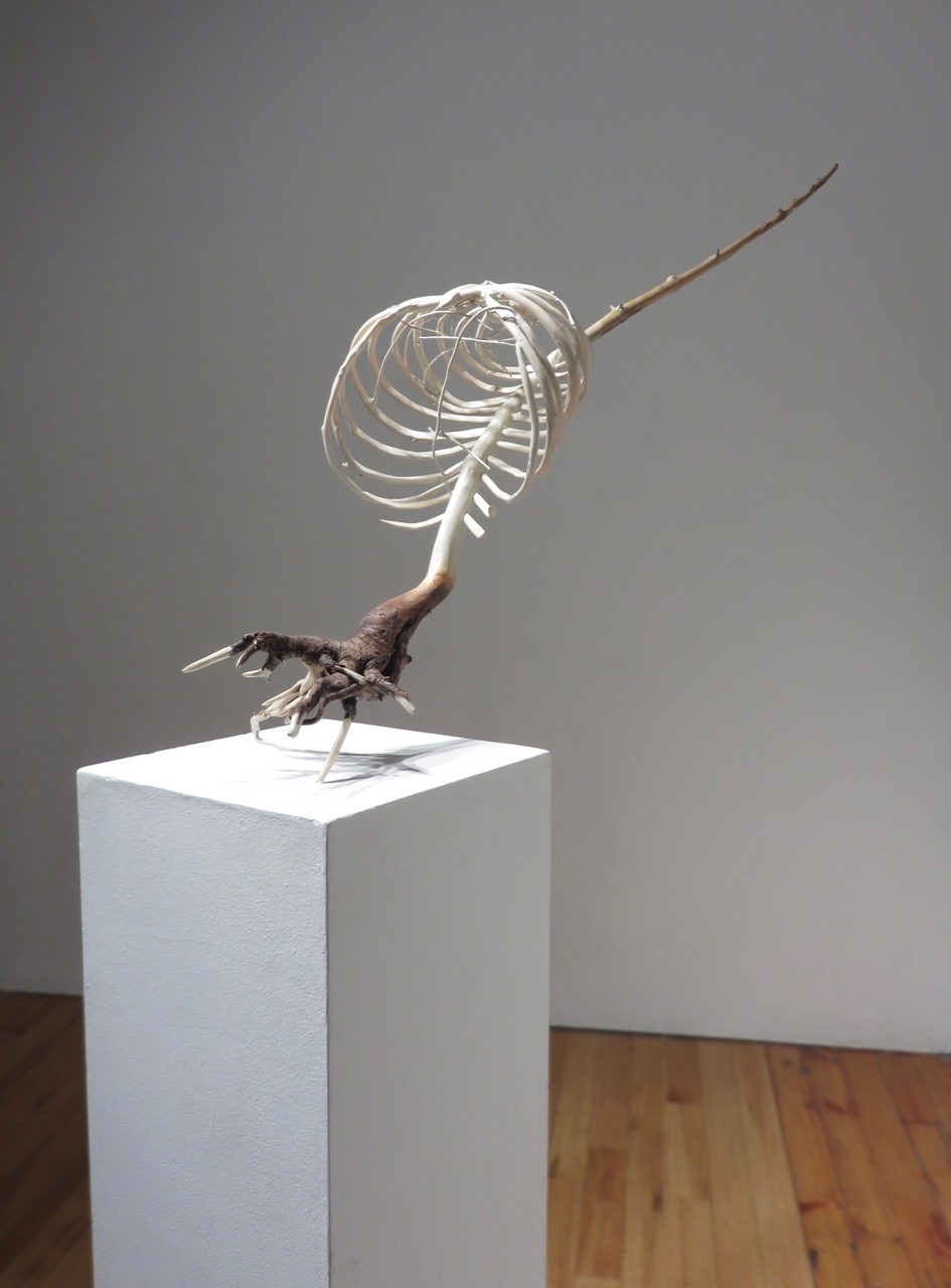Expectations I, 2015, cedar driftwood, cedar branches, acrylic paint, mixed media, 33 x 46 x 33 cm Photographs by Sally Thurlow.