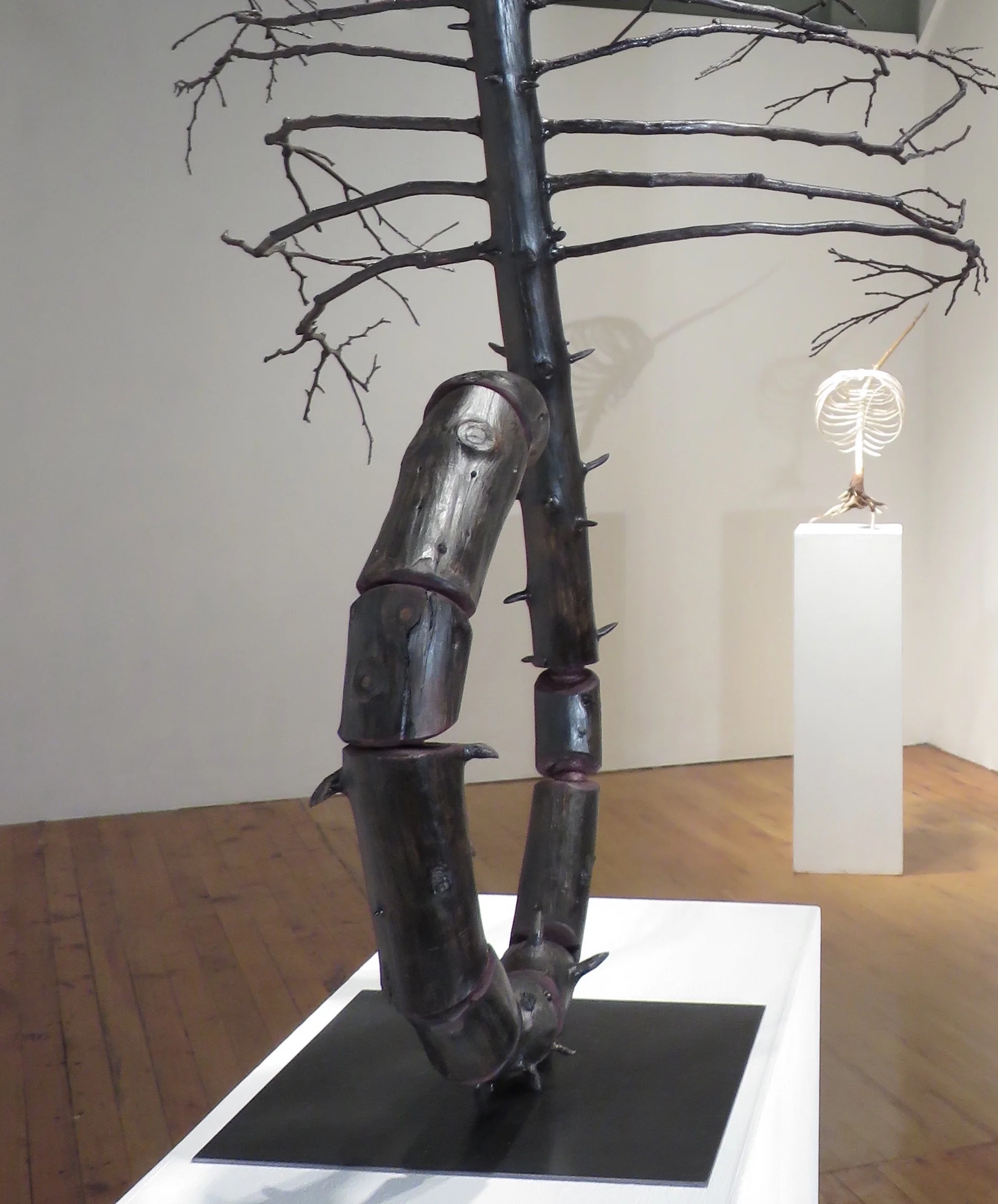 INSTALLATION VIEW Expectations II and Expectations I