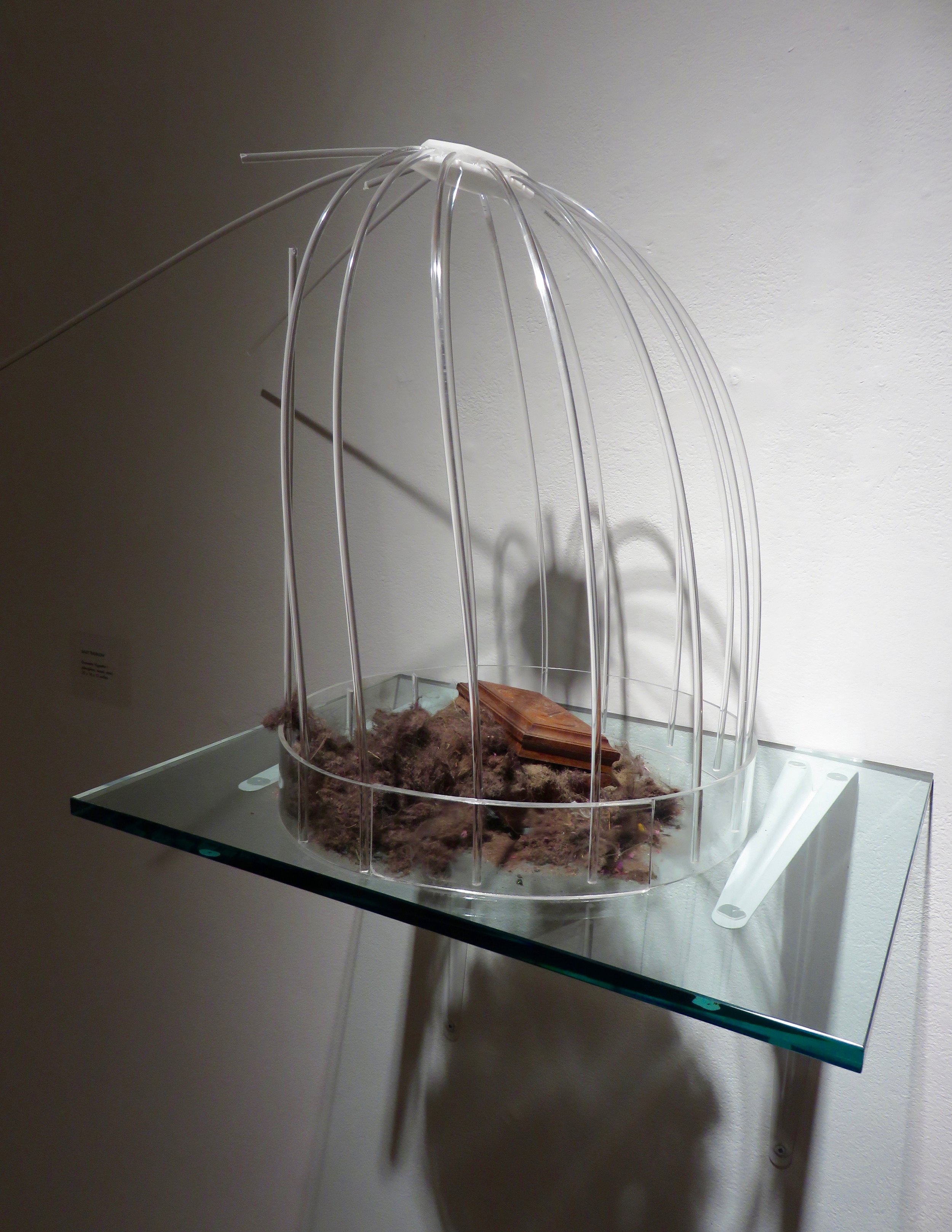 Dust to Dust, Vignette I, 2016 Plexiglass, wood, iRobot collected dust 22 x 16 x 11 inches