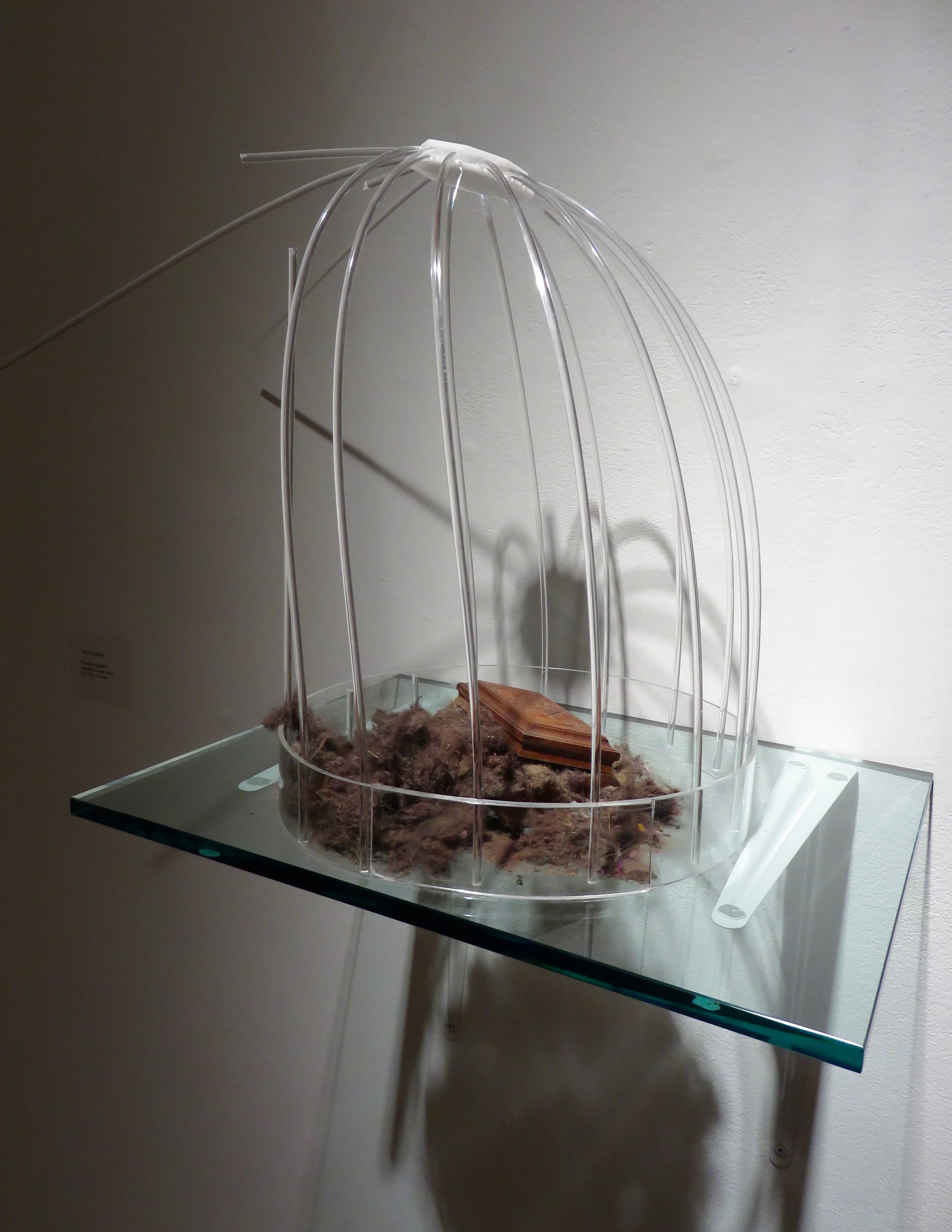 Dust to Dust, Vignette I, 2016 Plexiglass, wood, iRobot collected dust 22 x 16 x 11 inches