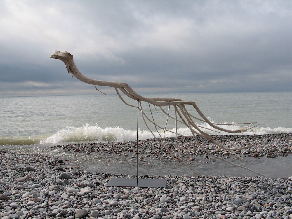  Swimmer, 2011-2012 Lake Ontario driftwood, 148 x 240 x 74 