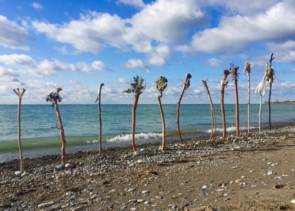 Image: Elements , 2017 - 2018, driftwood, natural elements - feathers, fur, bone, metals, plant materials etc., wood stain