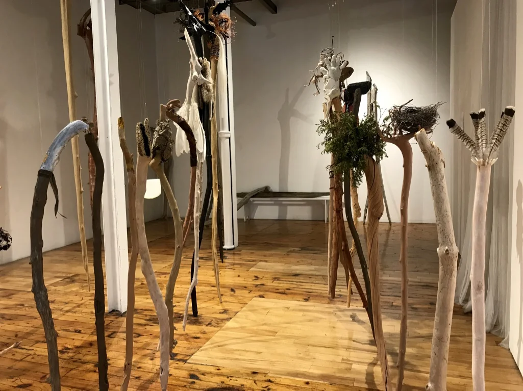 Wander In The Elements , 2017 - 2018 Multi-media with various natural animal, vegetable, mineral elements on driftwood Installation view at the Red Head Gallery
