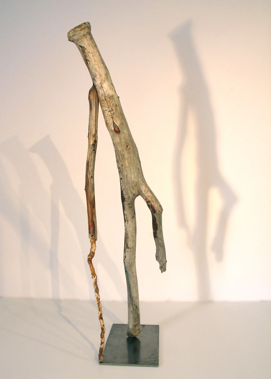 Walks With Cane, 2011 - 12, Newfoundland driftwood , 67 x 23 x 20 cm