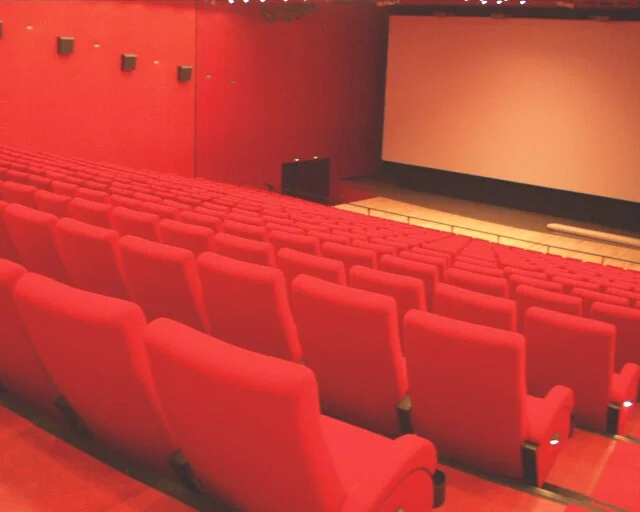 cinema hall_2.jpg
